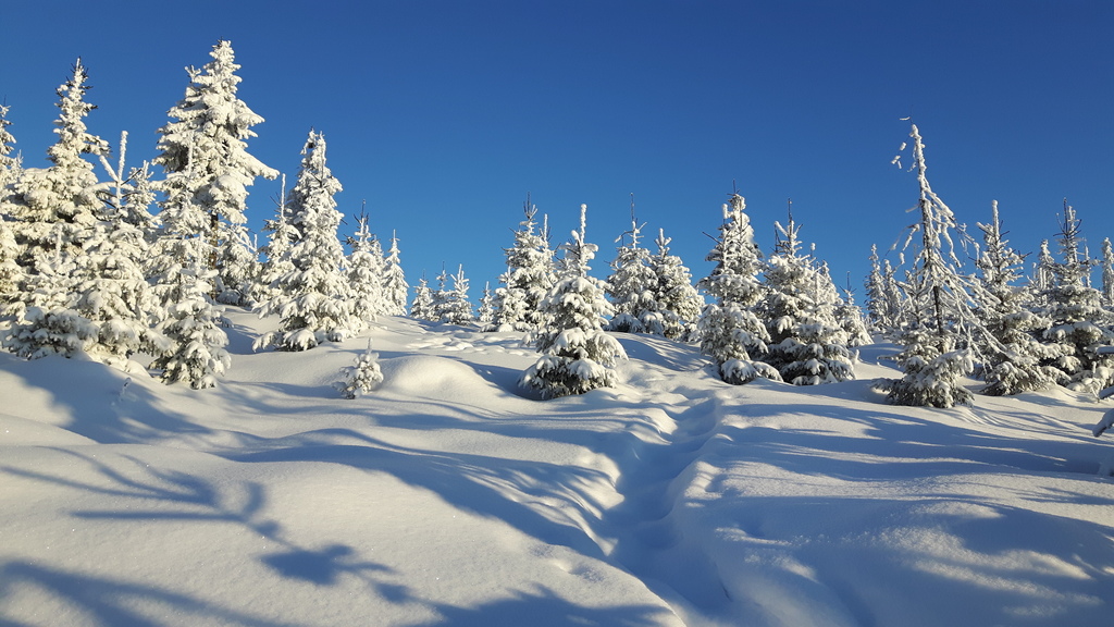 uphill back the house