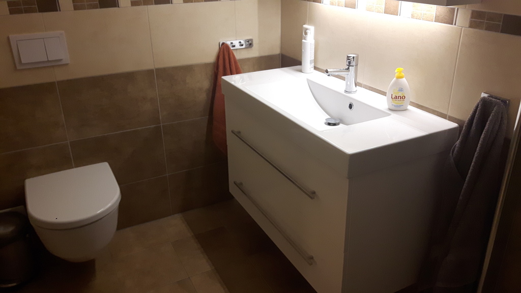 main bathroom, situated in the cellar