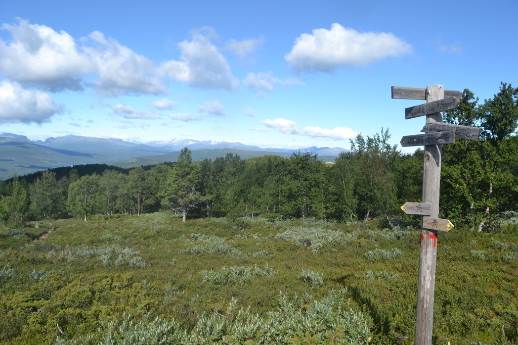 walking tracks in the neighbourhood