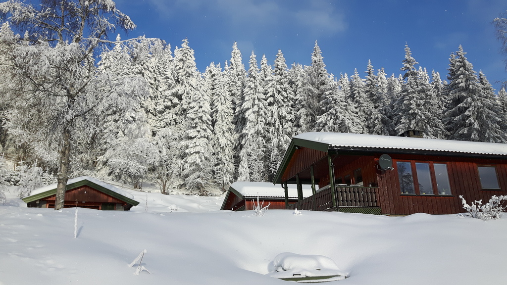 the house in wintertime