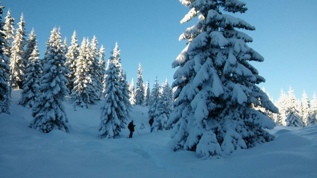 snowshoewalk in the environment