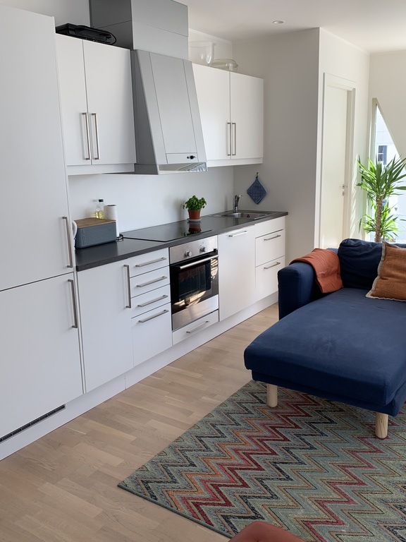 well equipped kitchen, build in dish-washer, freezer and fridge