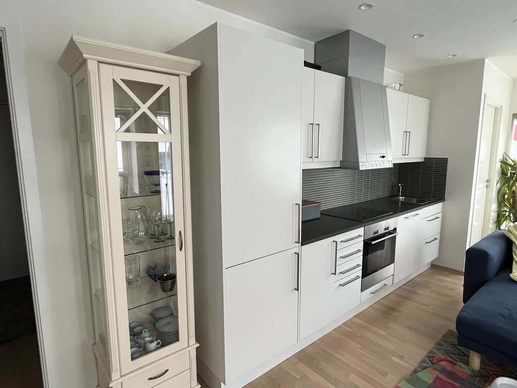 Well equipped kitchen, build in dish-washer, freezer and fridge