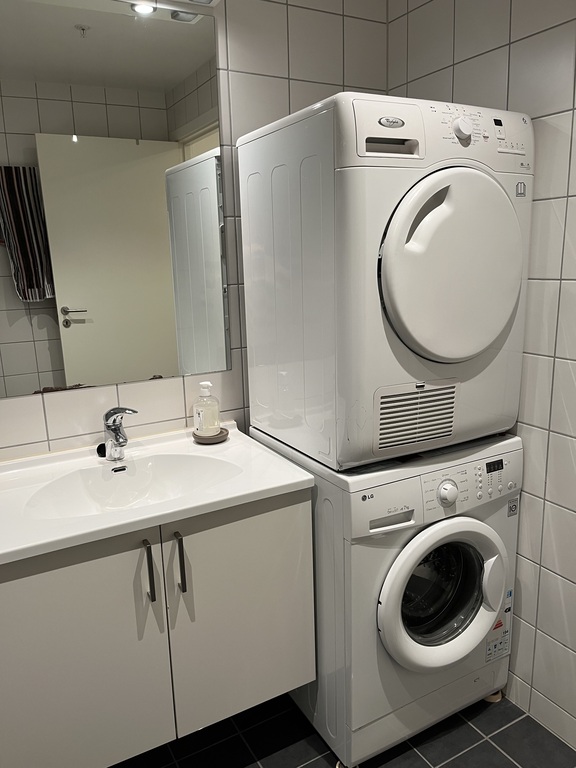 Wasching macine and tumble dryer in the bath-room