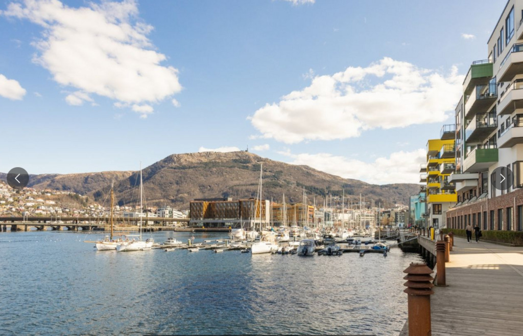 Damsgårdssundet, der leiligheta ligger