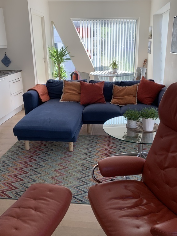 Store vinduer og mye lys i stue/kjøkken