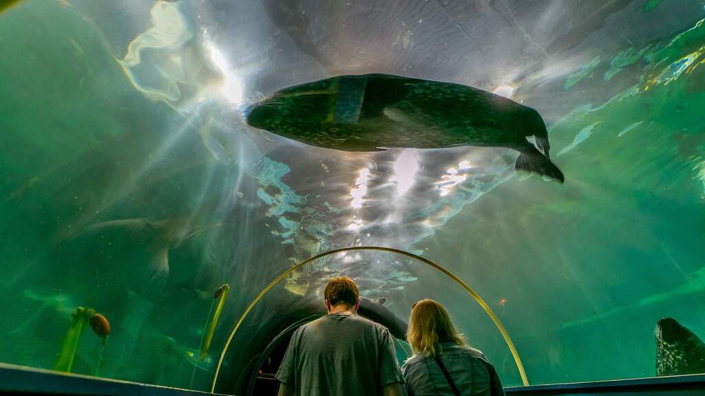 Polaria Arctic Experience Centre