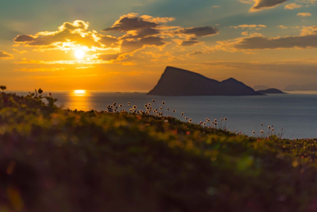 Midnightsun at Mountain Håja (Summer)