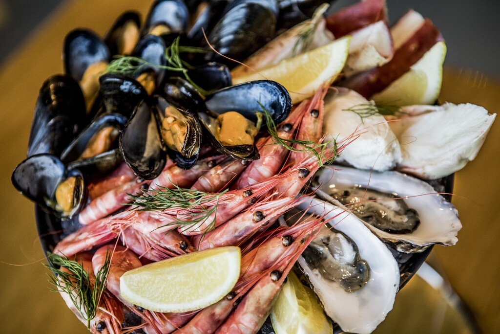 Seafood restaurants in Tromsø city