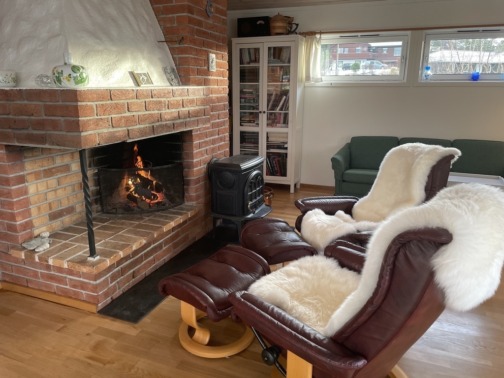 Fireplace and wood stove