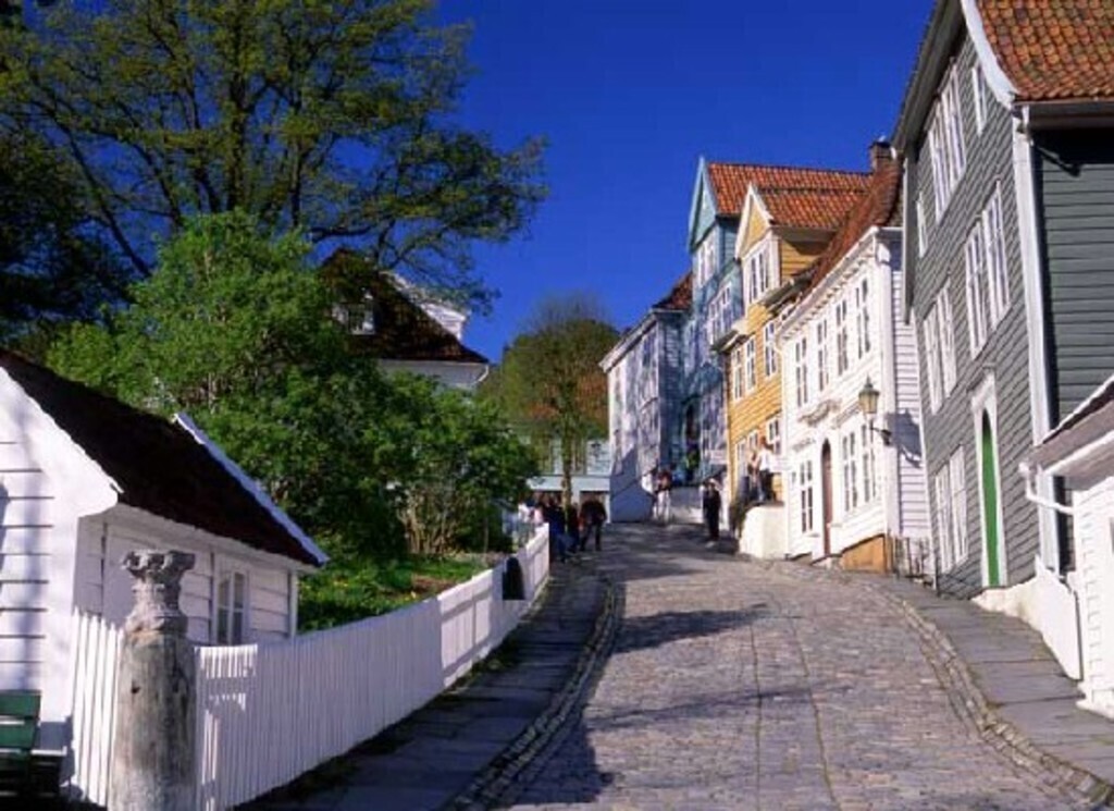 8 minutes from our house: old Bergen museum. https://bymuseet.no/museum/gamle-bergen-museum/?lang=en