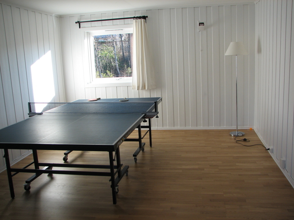 We have a large table tennis table as well, that is easy to fold up. 