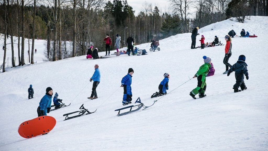 Kids can sled right outside our door.