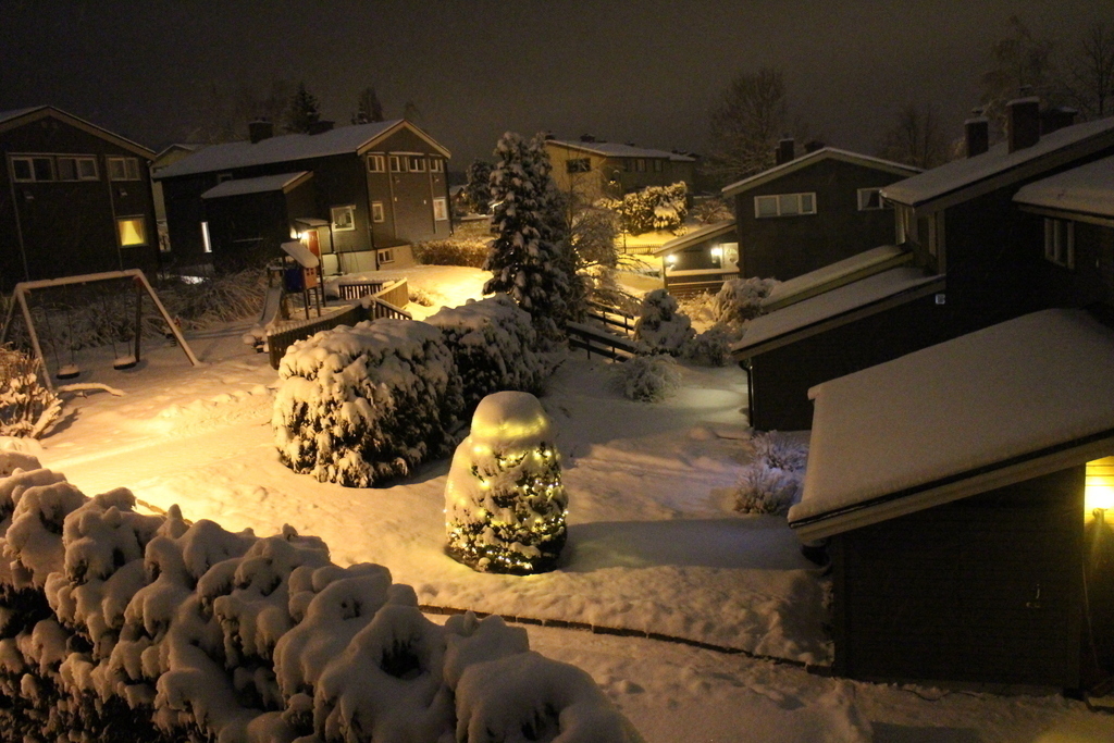 Neighborhood seen from the 2nd floor.