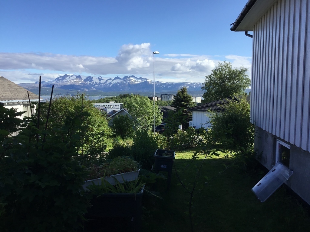 Kitchen garden and view