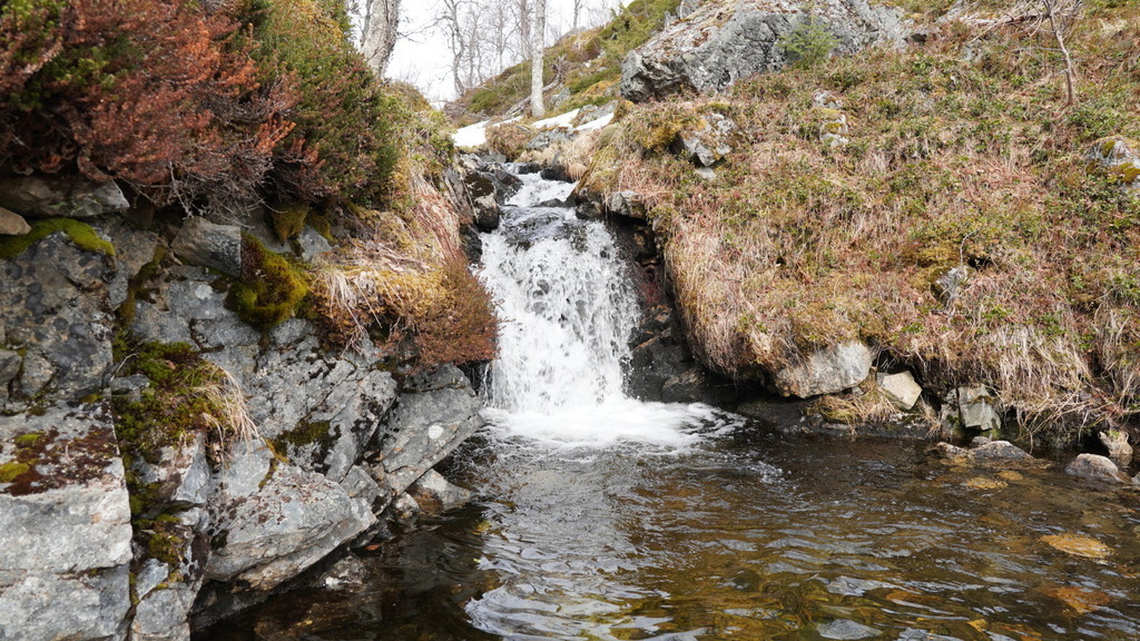 Prestelva, 20 min hike from our house