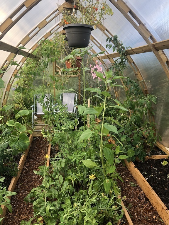 The big greenhouse, 18 kvm