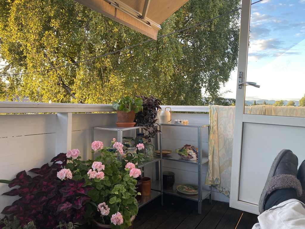 The balcony in the summertime