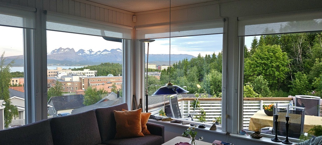 1 The livingroom