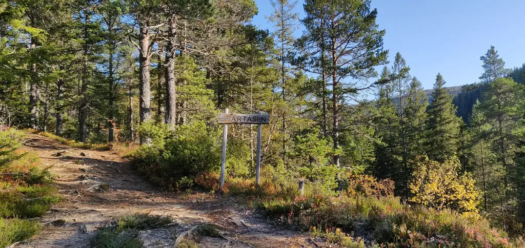 Great hiking trails in the forrest behind our house. This picture is taken 5 min walk from our house. 