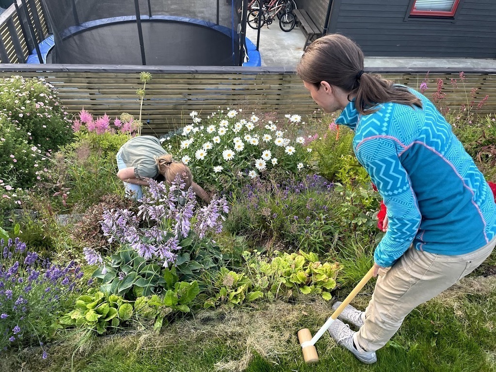 From the garden. Not our trampoline.