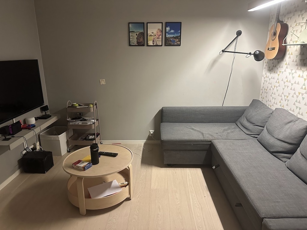 TV-room ground floor. Sofa can be made as a double bed