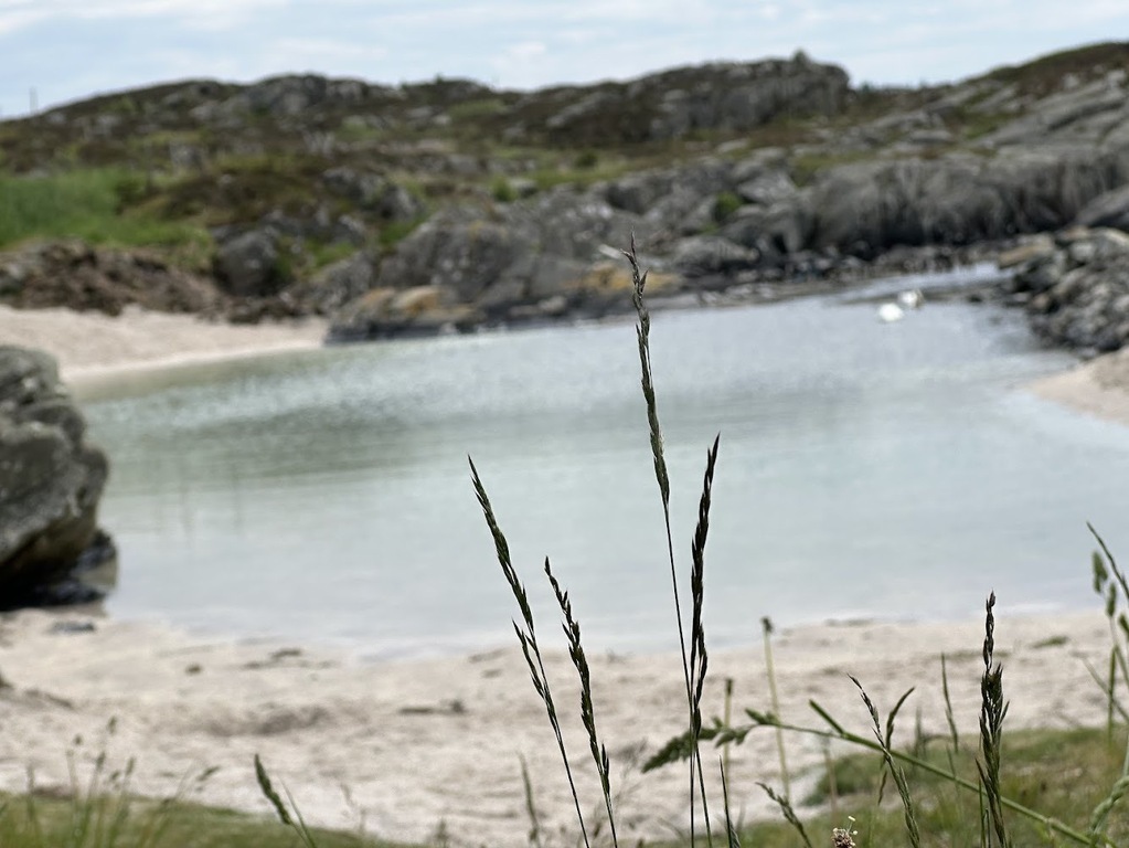 Nymallorca - small beach in walking distance