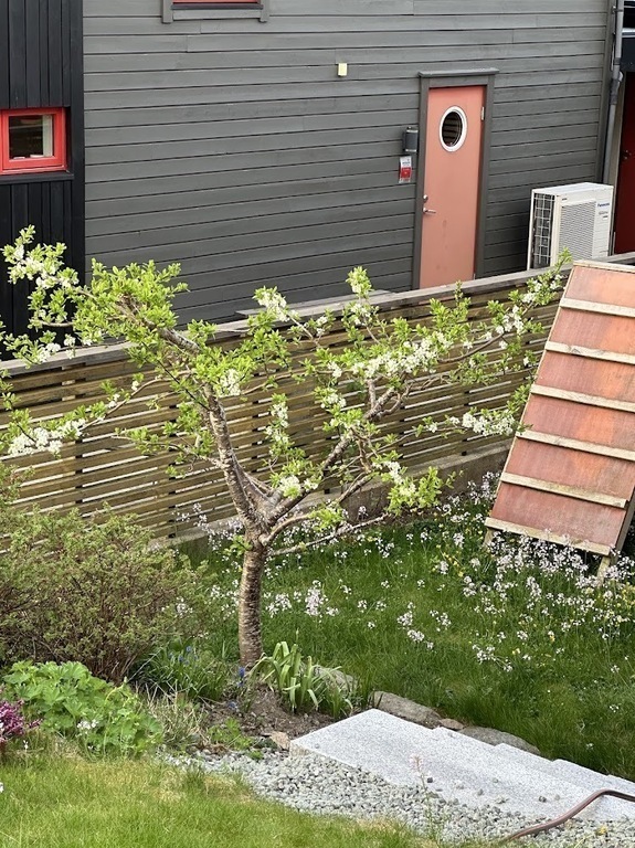 Lekestativ for små barn.