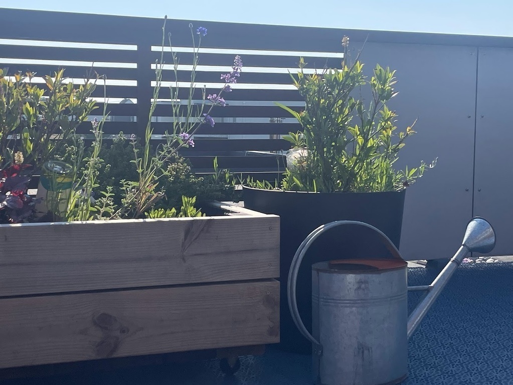 Terrace just outside kitchen.