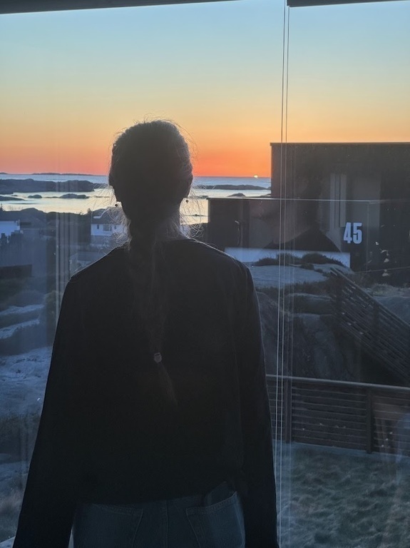 Wiew from livingroom