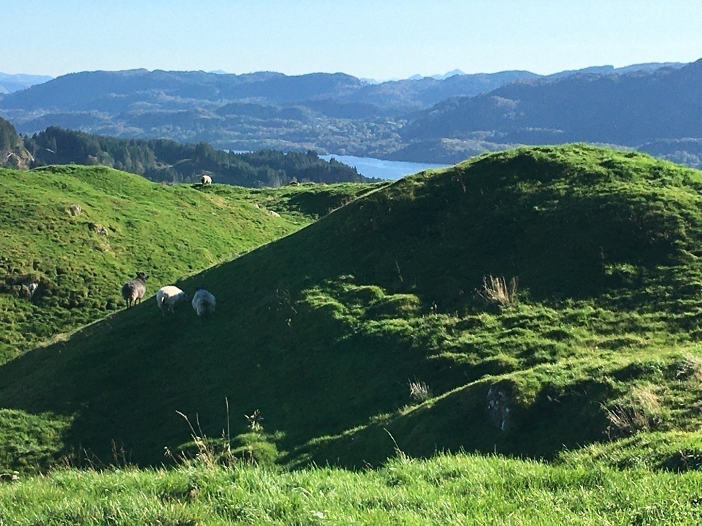 Hill nearby, with some of the locals
