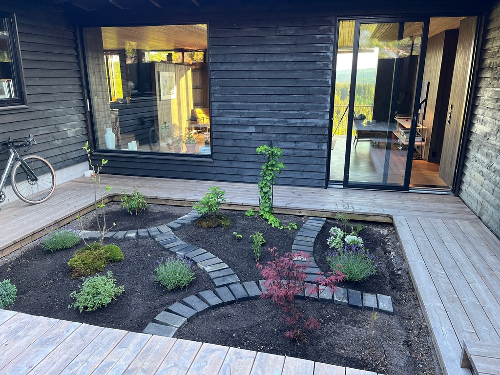 Atrium (early stage)