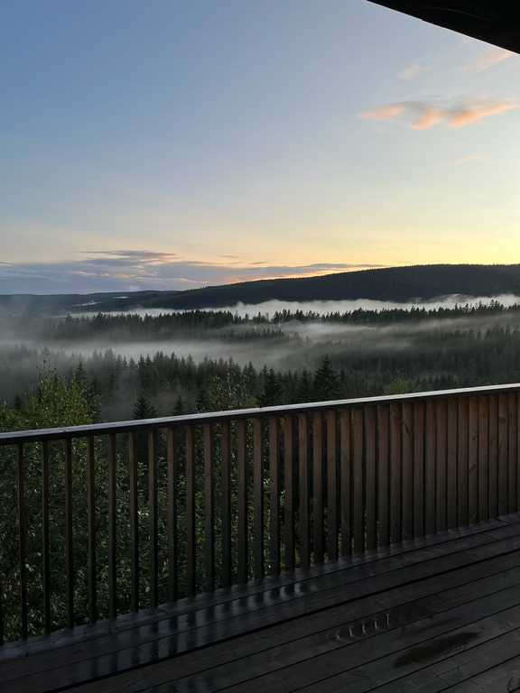 View from the balcony