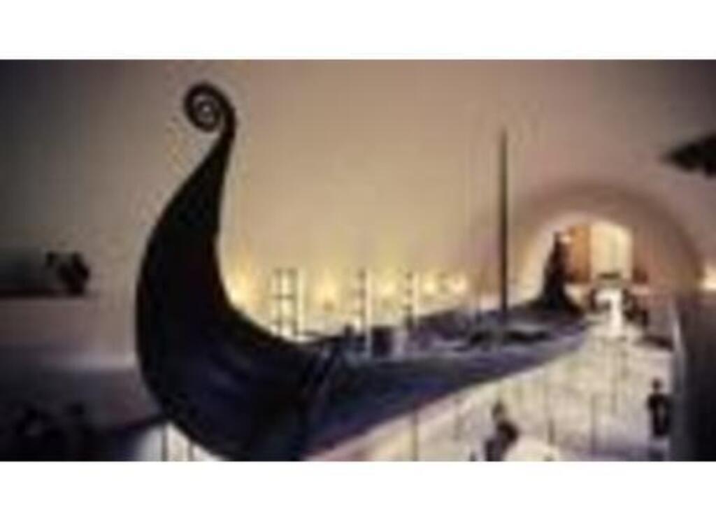 Viking museum