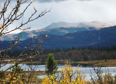 The picture is taken from the top of Værskei.