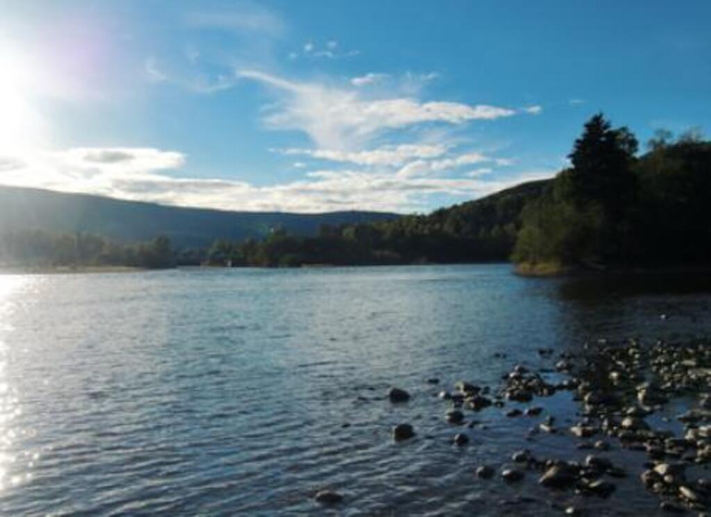 Picture of the river Lågen, runs 40 meters from our home