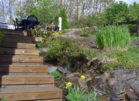 Steps from the front of house up to terrace and back garden.