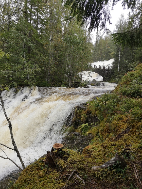 The mesna river, just south of the skijump.