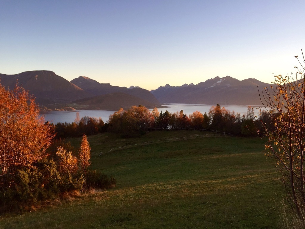 Five minutes drive or 20 minutes walking from our house