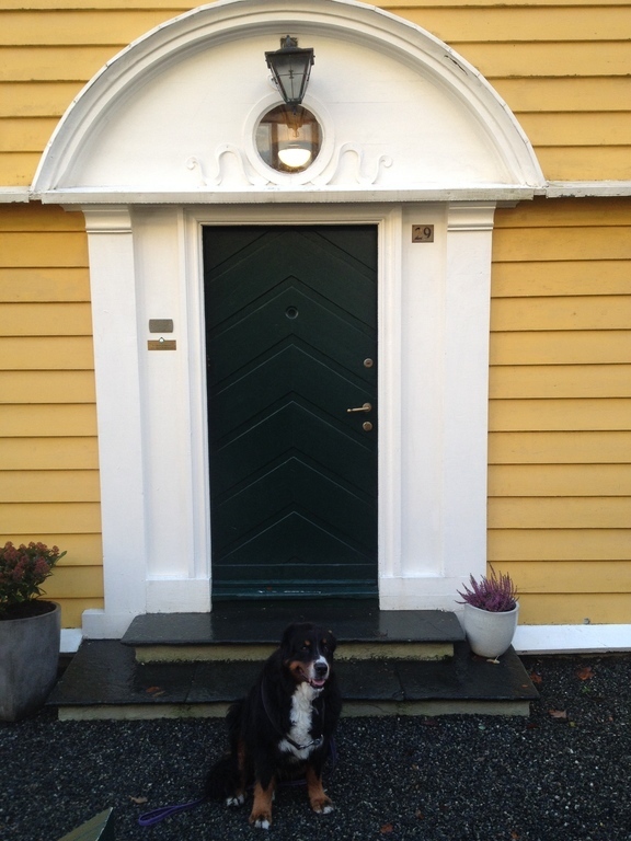 My flat is on the first floor of this 2 store house, with garden all the way around. (the dog is no longer alive)