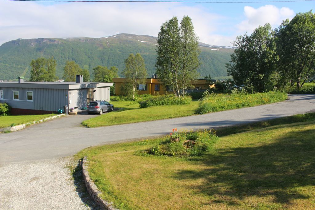 Our quiet street, Grønlivegen.