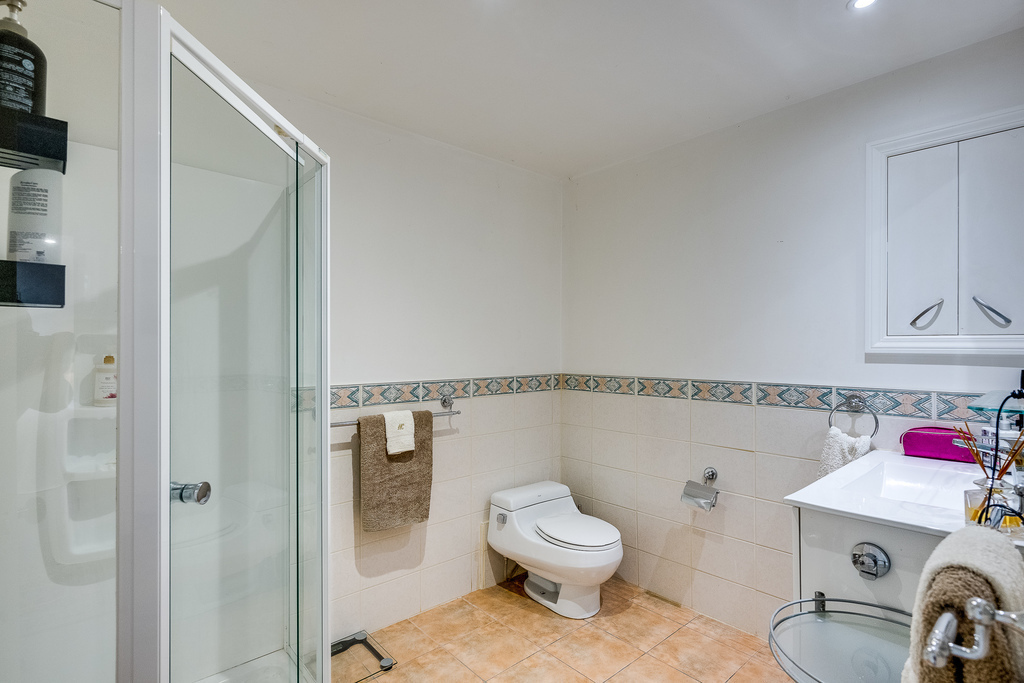 Downstairs bathroom with shower and toilet