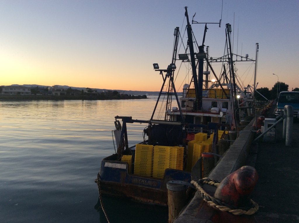 Ahuriri Port,  fishing boats, restaurants and stunning sunsets 