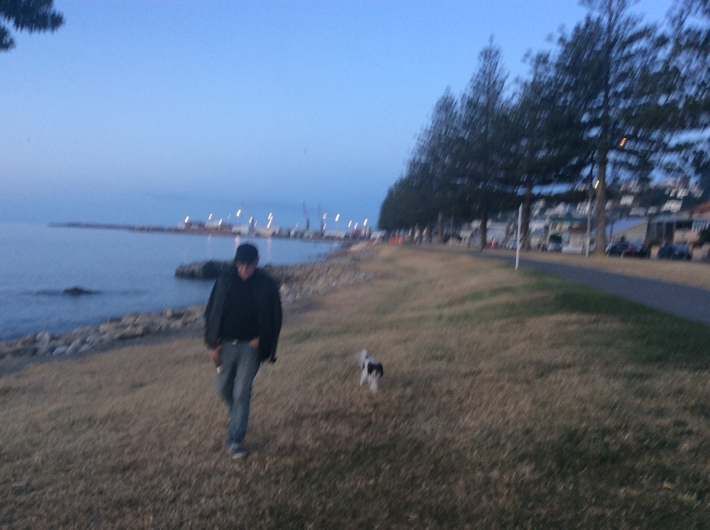 NAPIER - Ahuriri Beach, cafes, and harbour at end of street 