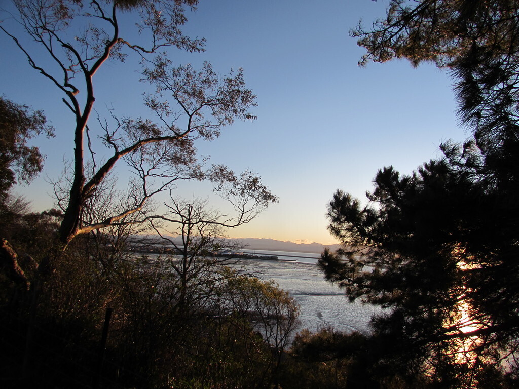 Estuary area, Nelson
