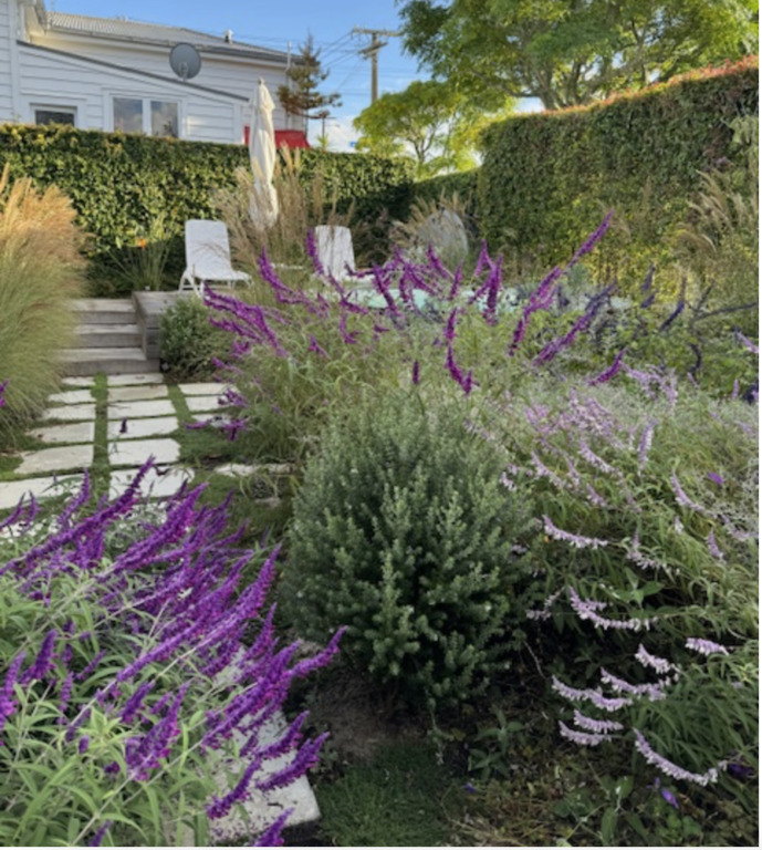 Our garden with a small round concrete pool