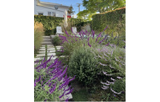 Our garden with a small round concrete pool