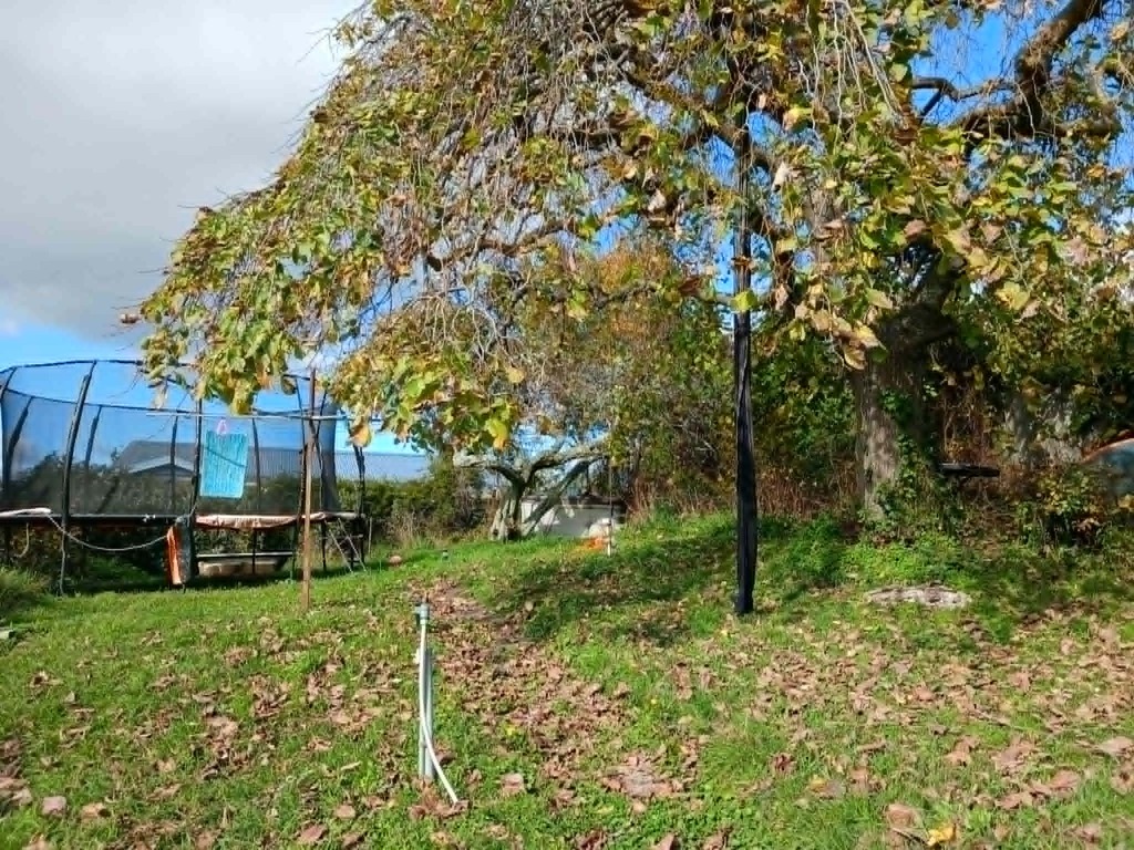 Large back garden. Note, the spa pool under the plum tree at the back right hand corner. Utterly relaxing, bird life and peac...