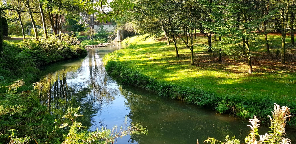Białucha River floating next to our house 