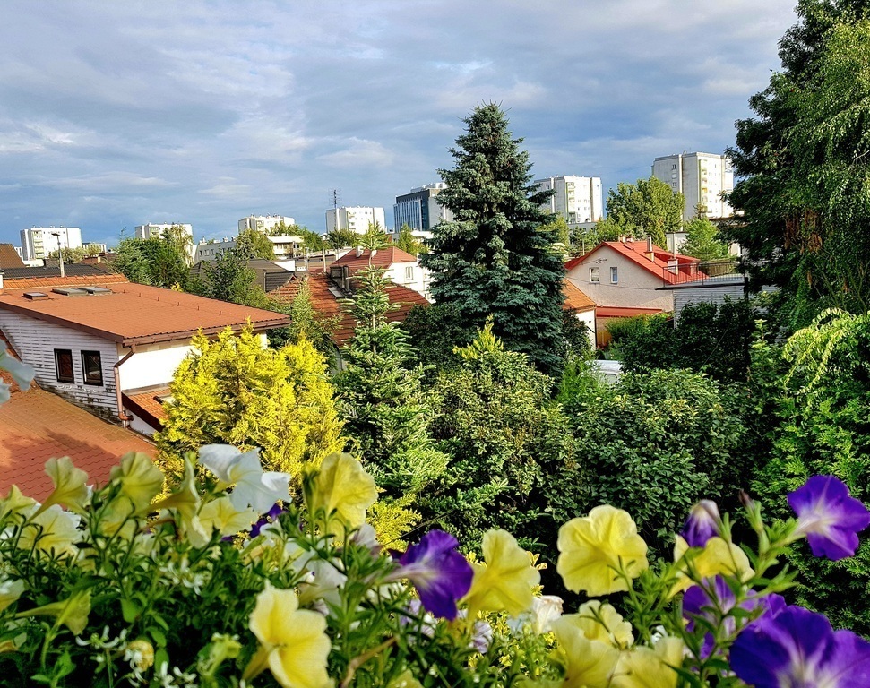The southern view from our house 